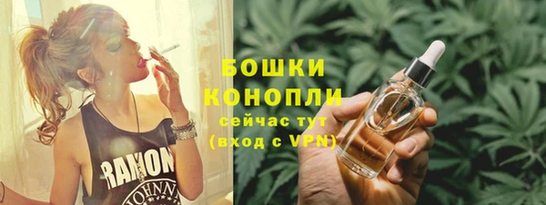 тгк Бикин