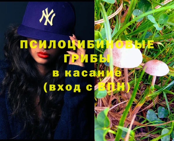 каннабис Осташков